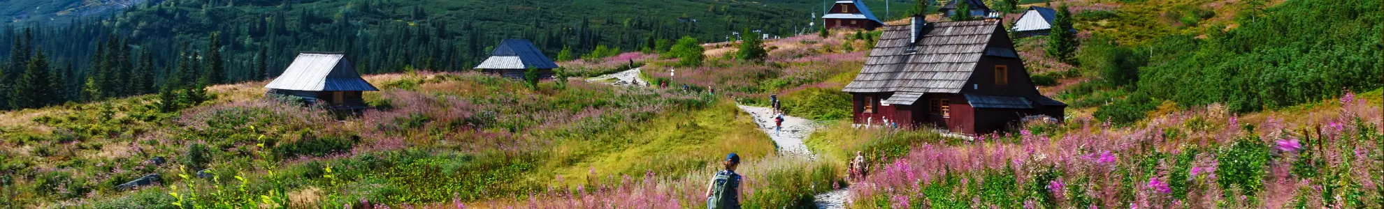 zakopane tanie noclegi