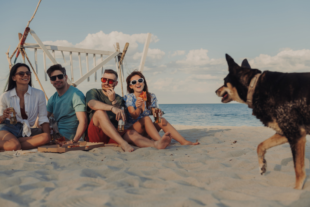 Lato 2025 w Jastarni NaturaTour group happy young friends enjoying food drinks while spending time seaside