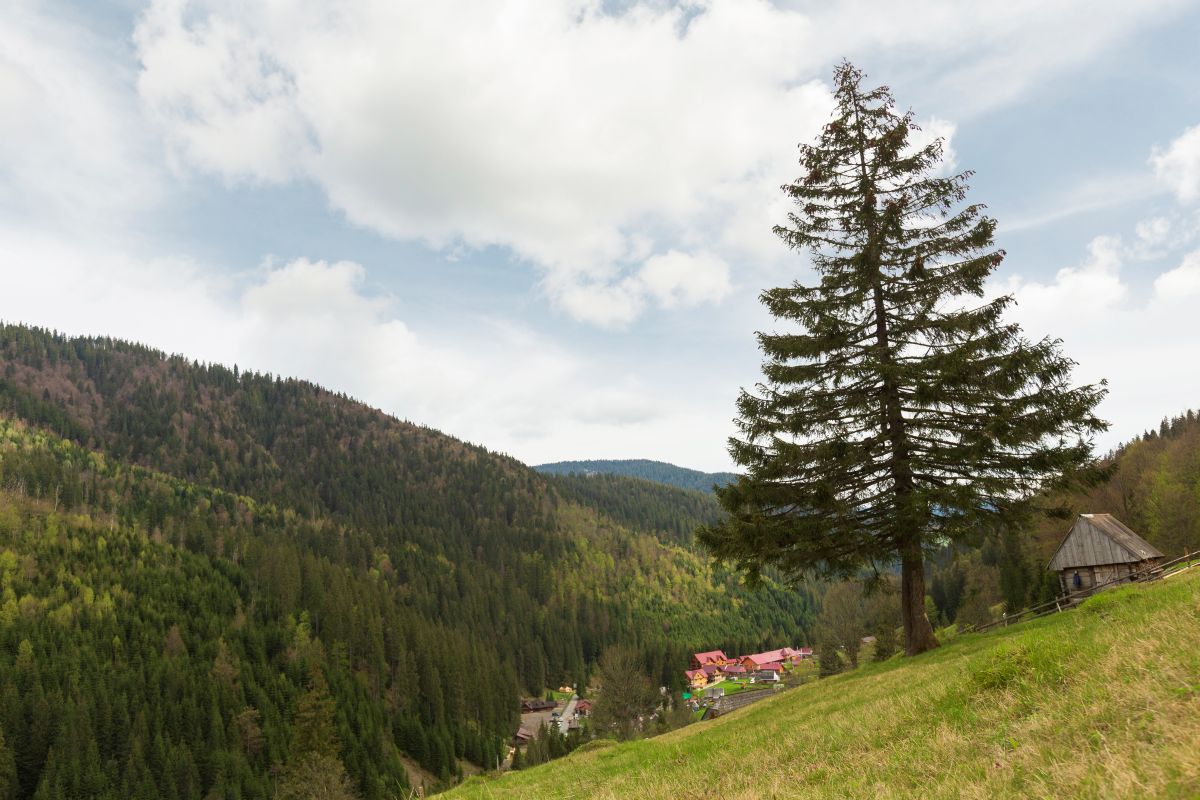Co warto zobaczyc i gdzie sie zatrzymac karpacz