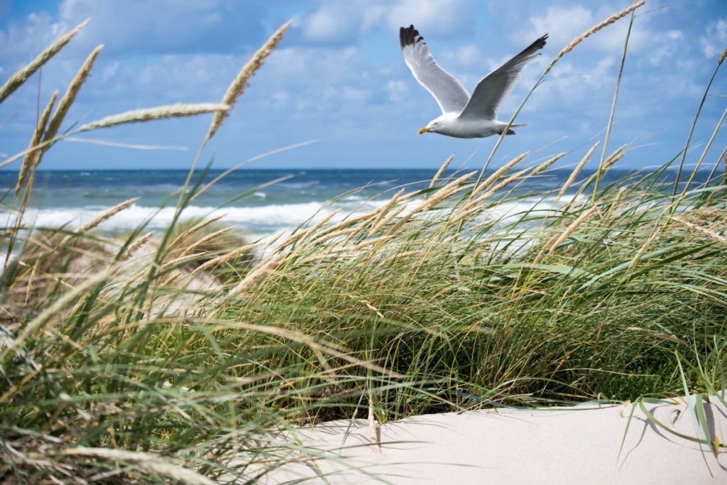 Ustka - co warto zobaczyć? Przewodnik po najpiękniejszych NaturaTour Ustka co warto zobaczyc