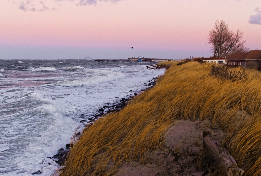 beautiful scenery grassy hill by sea sunset