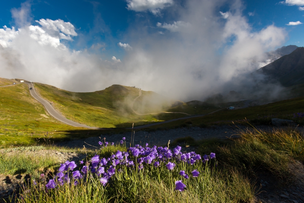 landscape hills covered grass flowers cloudy sky sunlight