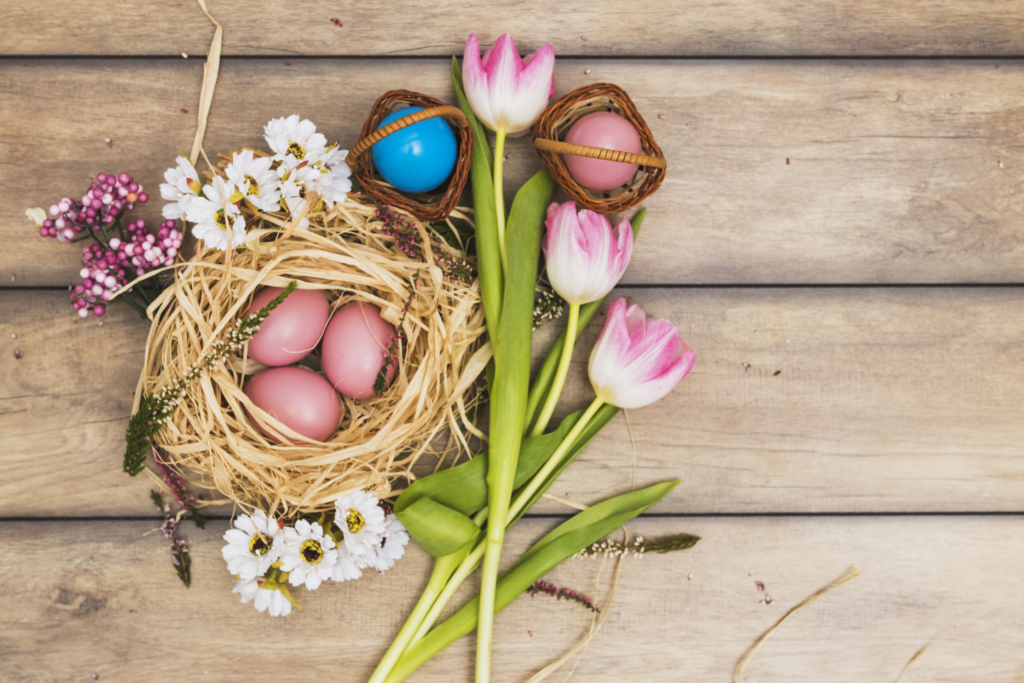 nest with pink eggs near tulips